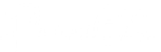 PlatinumCare ACO logo